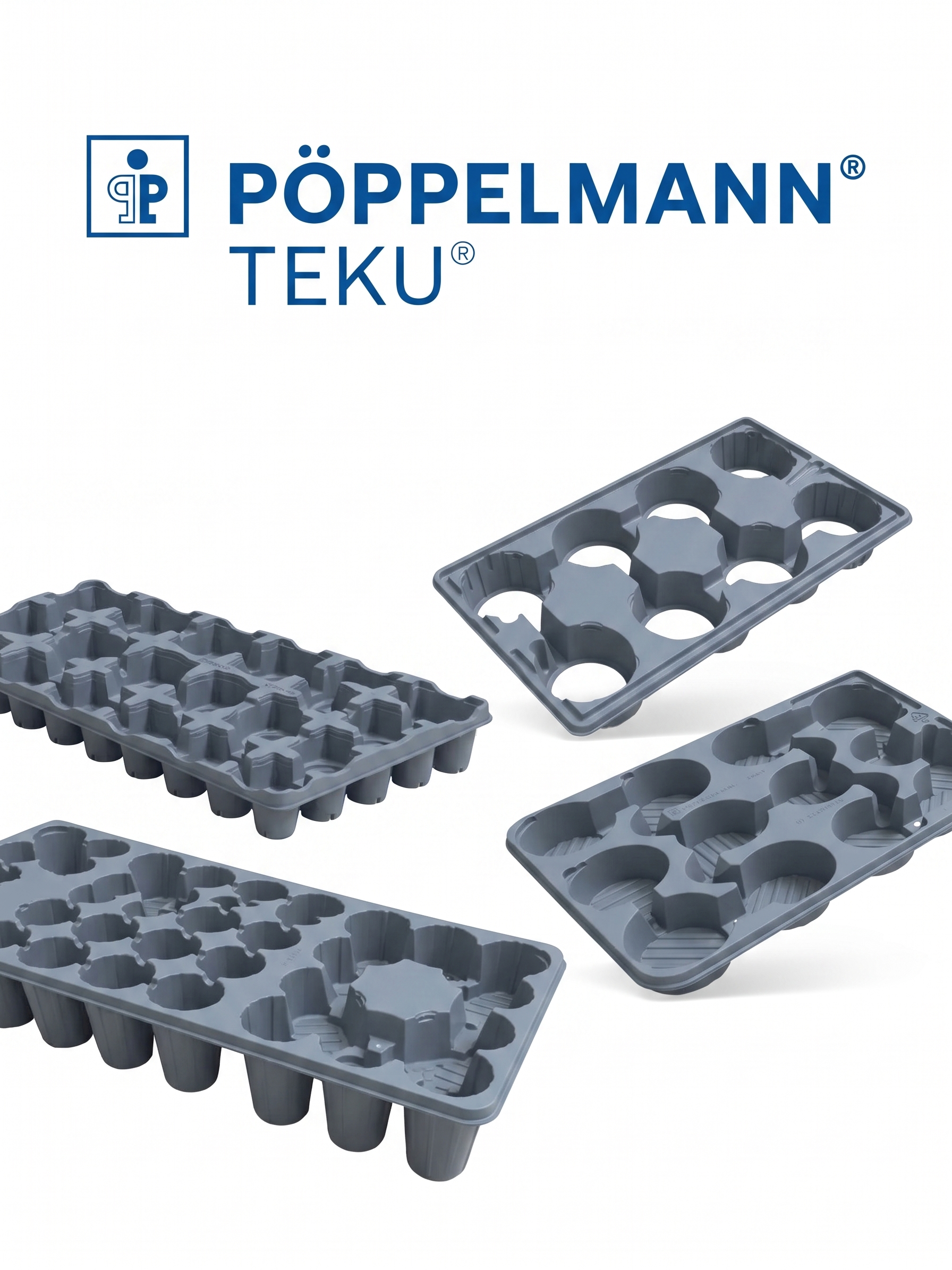 Charolas de Transporte TEKU Pöppelmann