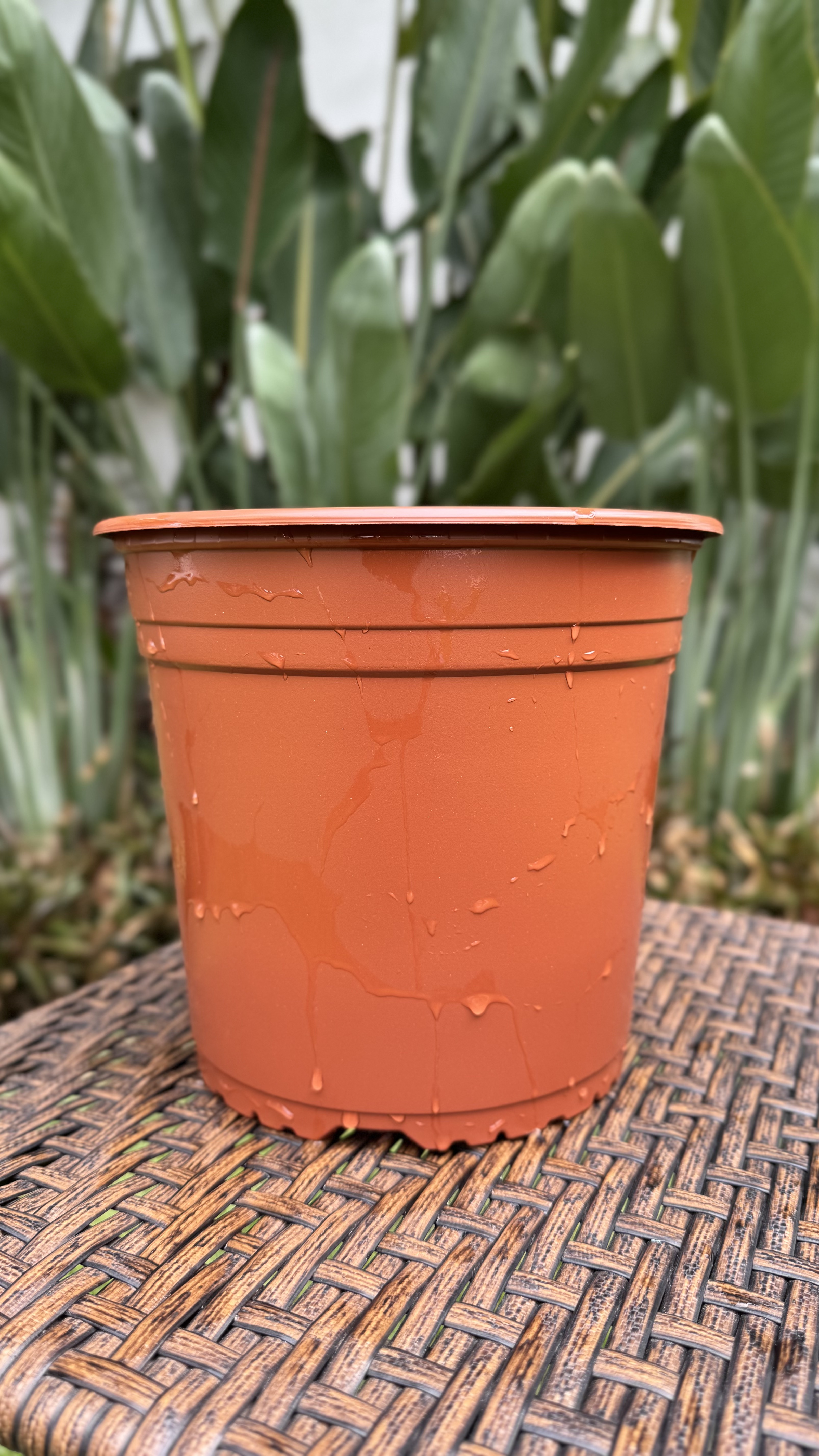 Modelo VCC TEKU