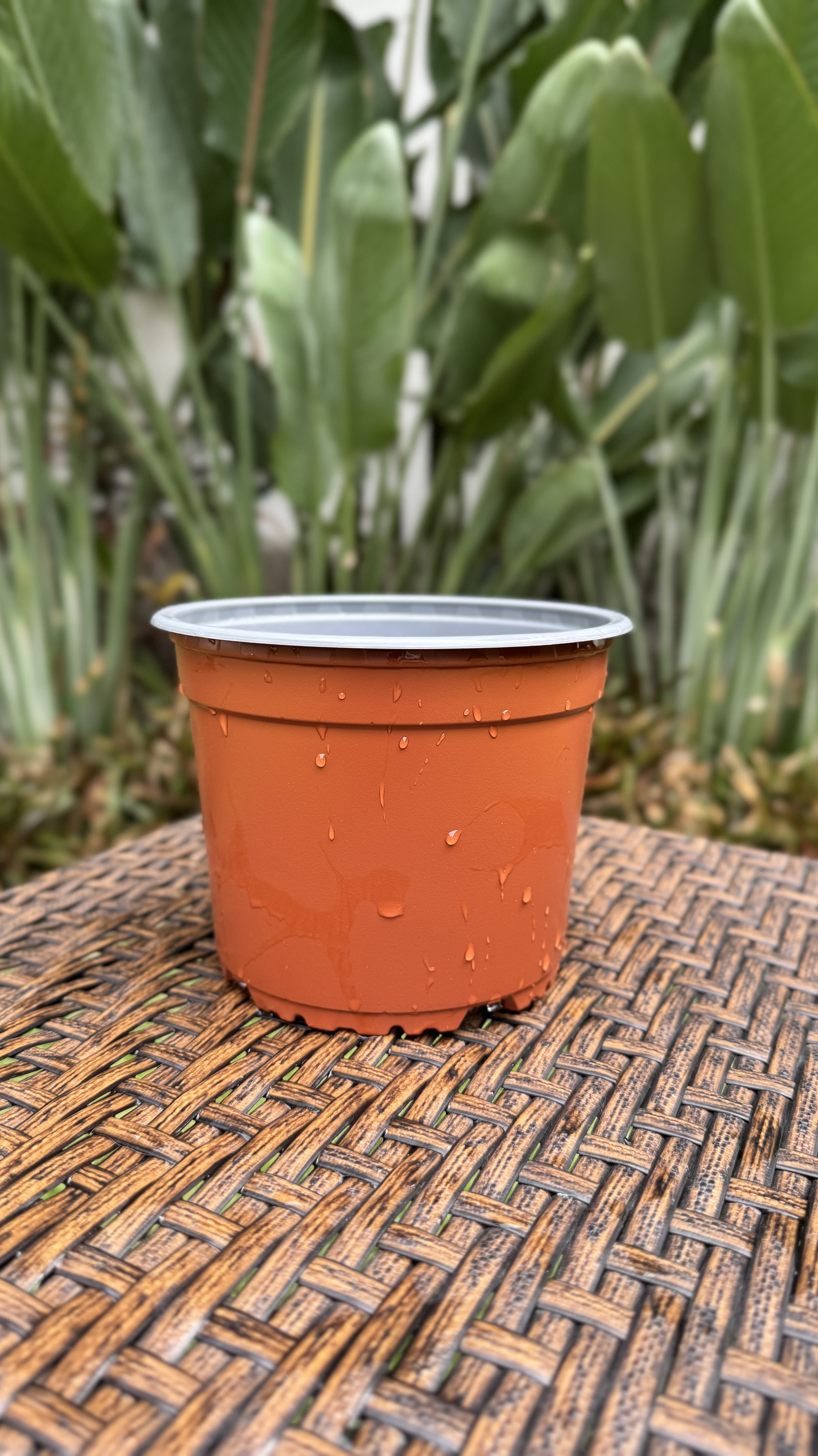 Modelo VCG TEKU